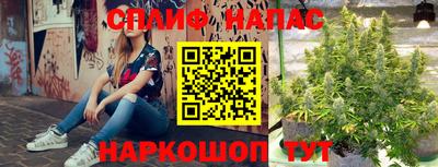 эйфоретик Гатчина